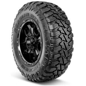 295/55 R20 10PR 123/12Q ROADIANT MTX RM NEXEN KOREA
